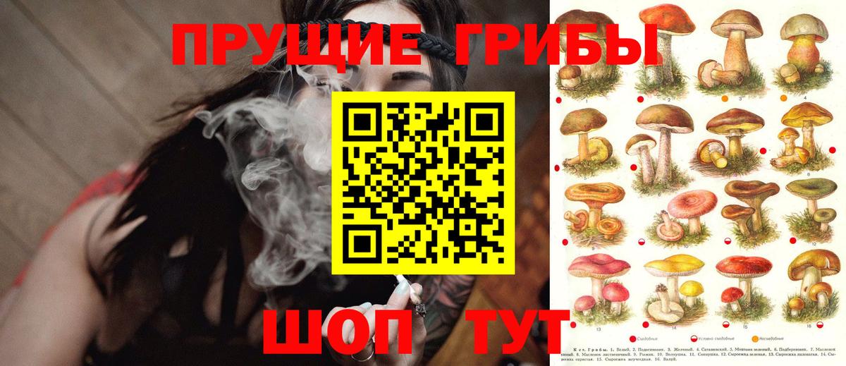Галлюциногенные грибы ЛСД Саянск